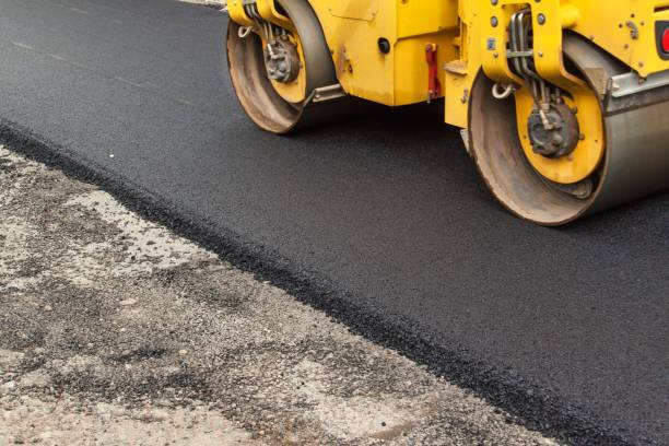 Best Professional Driveway Pavers  in Watkins Glen, NY